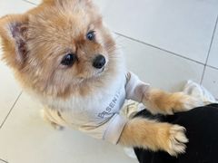 -怪兽屋·羊驼·猫咖·狗咖(俊华广场店)