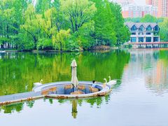 -银树楼(紫玉山庄东区店)