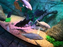 -沈阳海洋探索中心