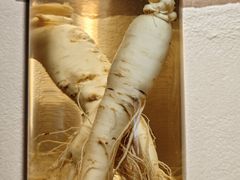 -长寿参鸡汤(朝韩风情街店)