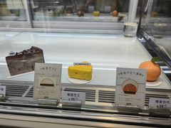 -TD66高山铁皮石斛养生茶饮