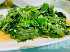 清炒野菜-华冠悠岚·庭院餐厅(青城后山店)