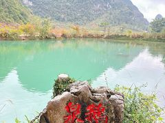 -靖西鹅泉风景区