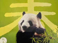 -眉州东坡(清河万象汇店)