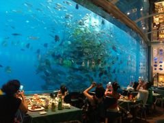 -瑞德姆美人鱼海底演艺主题餐厅(亚龙湾店)