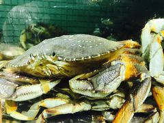 -徐记海鲜·宴会(大唐西市|丰庆店)
