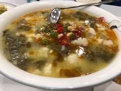 酸菜鱼-正阳春烤鸭店(杨楼店)