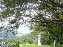 -秦岭风景区