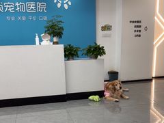 -贝利宠物医院·骨科·眼科·肿瘤转诊中心(南坪诊疗中心)