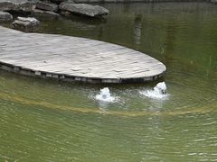 -窦大夫祠