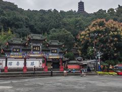 -玉滋補