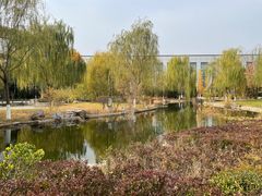 -北京国家会计学院