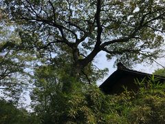 -法云古村