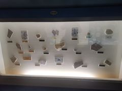 -上海昆虫博物馆