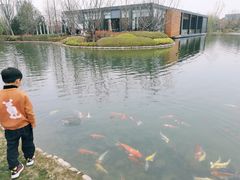 -窗外西餐厅(普罗理想国店)