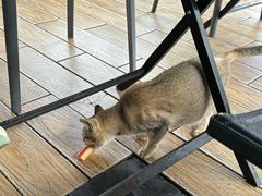 -Sasa的海(蜈支洲岛后海店)