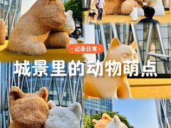 -深圳湾万象城
