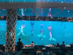 -瑞德姆美人鱼海底演艺主题餐厅(亚龙湾店)