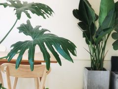 -小意思咖啡店(草桥店)