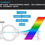 蓝光是自然可见光其中的一部分，日光及电子屏幕都会发出