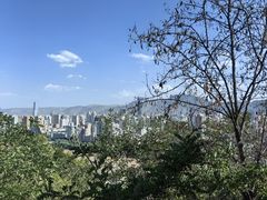 -白塔山公园