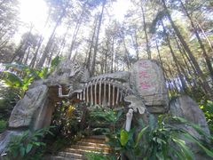 -森波拉奇妙世界