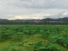 -古田会议纪念馆