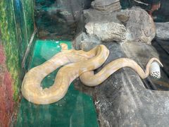 -上海昆虫博物馆