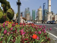 -花马天堂云南餐厅 Lost Heaven(外滩店)