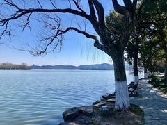 -苏堤停车场