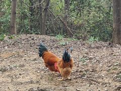 -广州神农草堂中医药博物馆