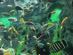 -常州海昌海洋探索馆