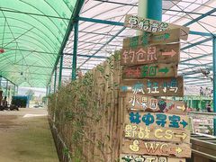 -麻涌飞鸭开心农场