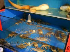 -小鱼儿海鲜港(新村十区店)