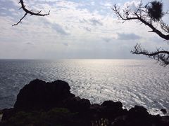 中文大浦海岸柱状节理带-柱状节理带