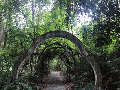 -广西壮族自治区药用植物园