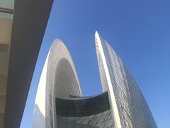 -野狸岛