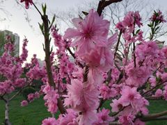 -经纬广场