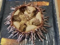 -海胆小馆(东北水饺·春柳店)