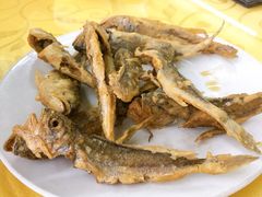-叶存利海鲜大馅饺子(东戴河止锚湾店)