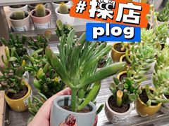 -鹿岛会员店(熙地港店)