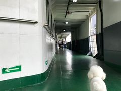 -海安新港(公交站)