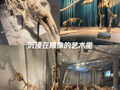 -重庆自然博物馆(新馆)