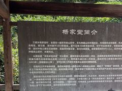 -杨家堂村