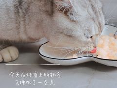 -盒马鲜生(189购物中心店)