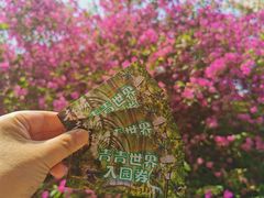 -青青世界