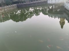 -报恩禅寺
