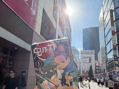 -秋叶原电器街