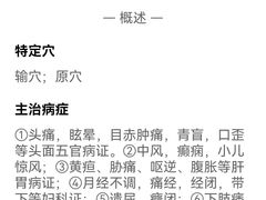 -鹤祥宫·影院足道·SPA连锁(苹果园店)