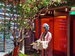 -星·South Beauty·俏江南(国贸店)